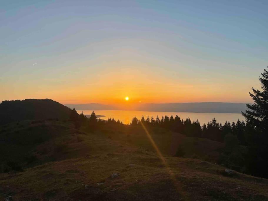 Studio Myrtilles Du Leman Vue Sur Lac Et Montagne Thollon-les-Memises Dış mekan fotoğraf