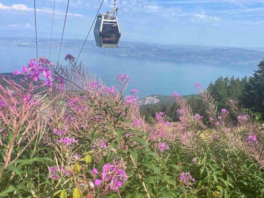 Studio Myrtilles Du Leman Vue Sur Lac Et Montagne Thollon-les-Memises Dış mekan fotoğraf